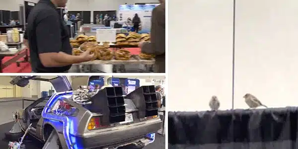 Three images, food on a table at the tradeshow, futuristic car, birds sitting on a divider