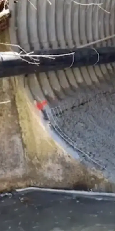 A hole rusted out of a corrugated pipe