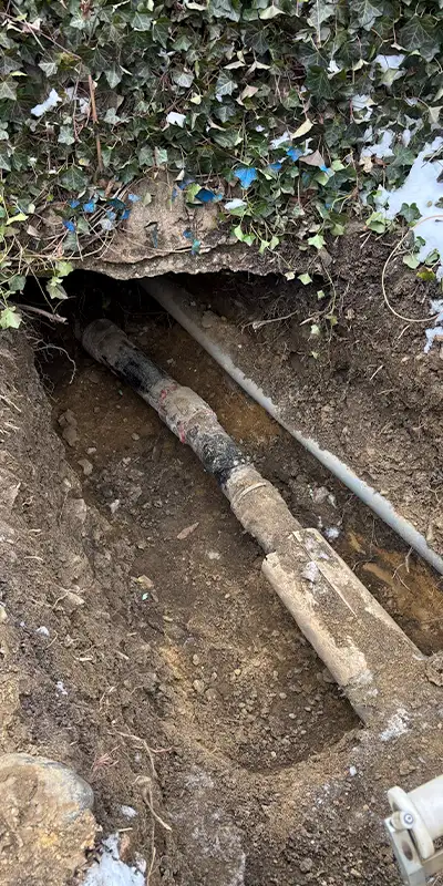Three posts that have been damaged by weathering
