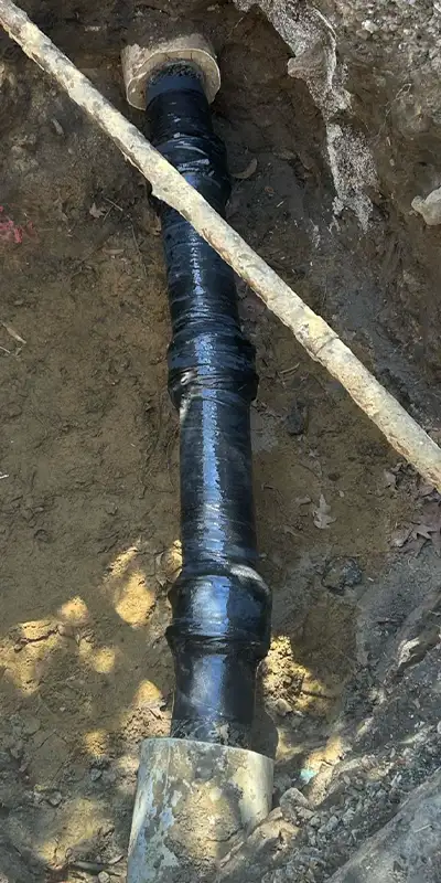 Three posts that have been damaged by weathering