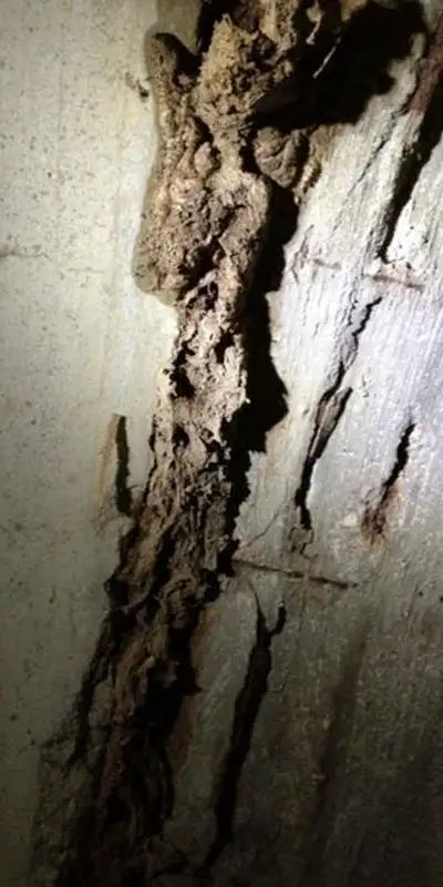 Two technicians installing HydraTite in a round pipe