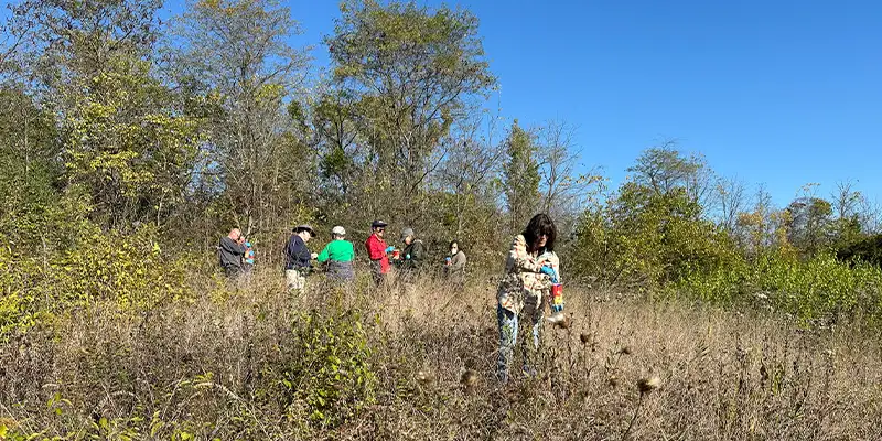 a bunch of seeds ready to be spread
