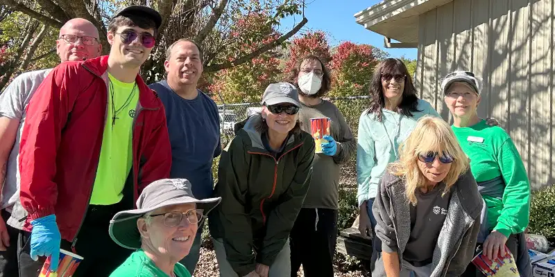 a bunch of seeds ready to be spread