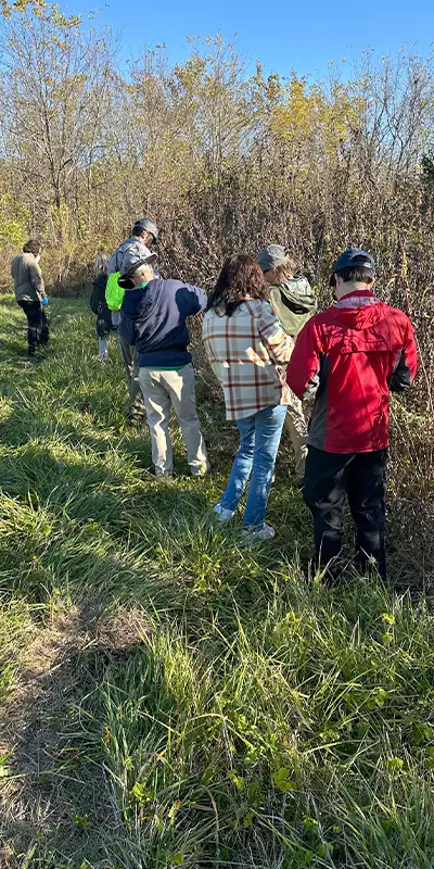 Picking seeds with a gloved hand