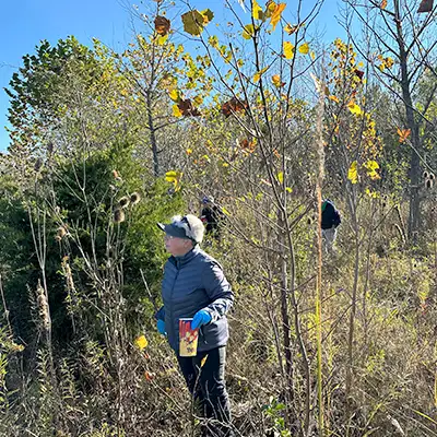 Picking seeds with a gloved hand