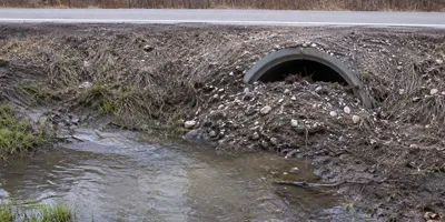 Water not going into a stormwater culvert due to debris build up at the mouth of the pipe